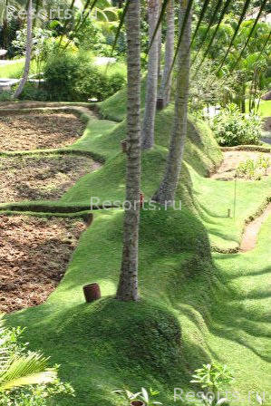 Four Seasons Resort Bali at Sayan 7